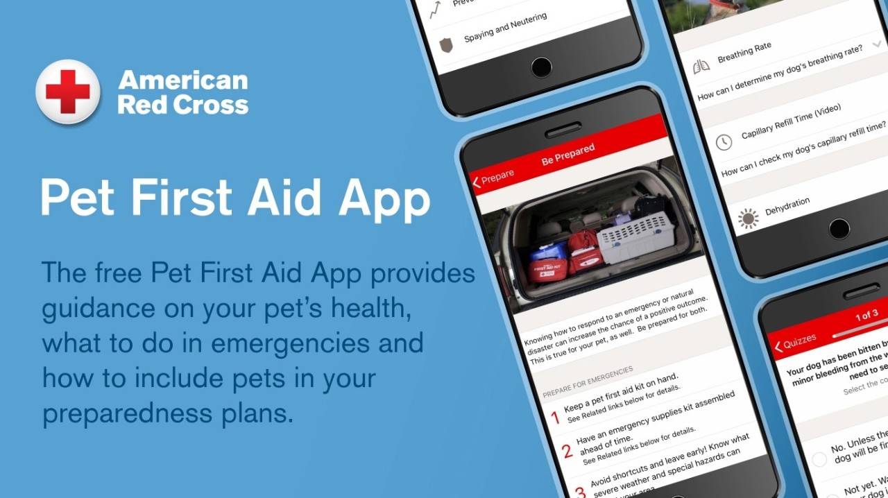 The American Red Cross has an app and online class to help pet owners