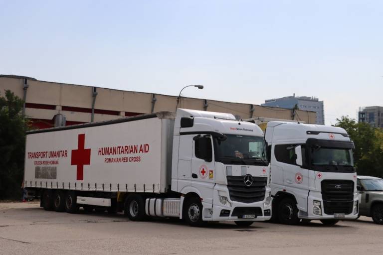 How Does the Global Red Cross and Red Crescent Humanitarian