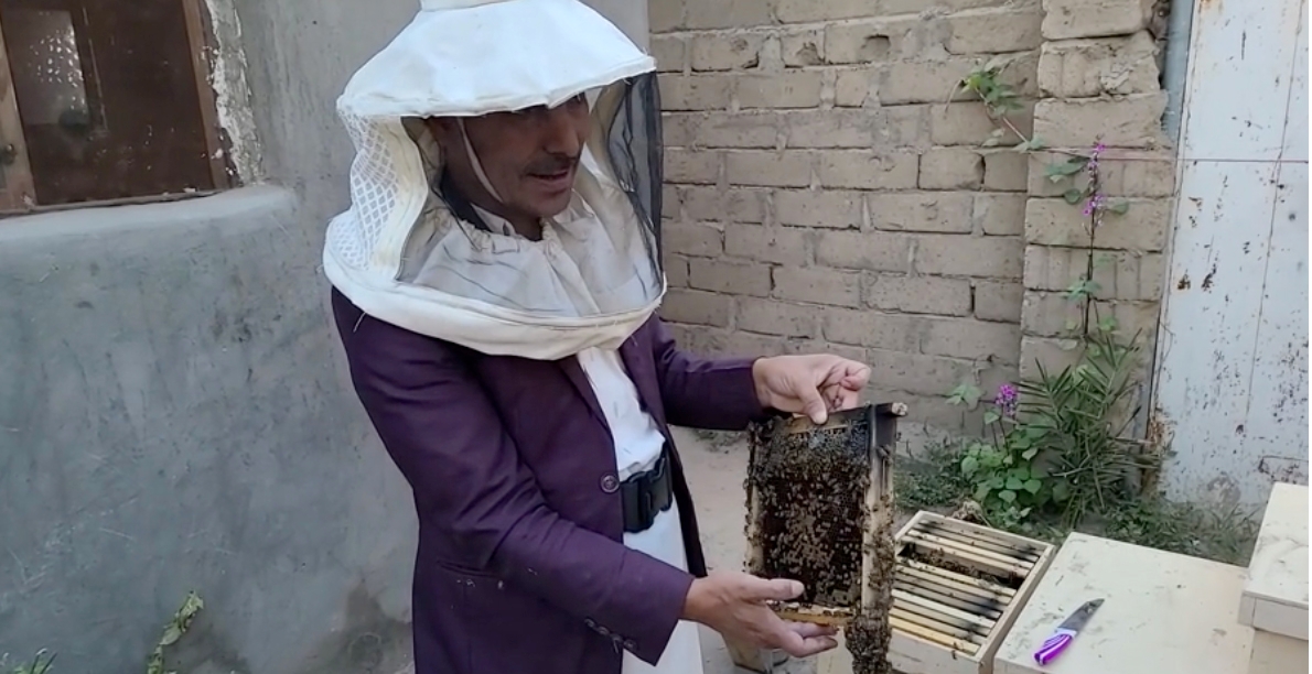 There will be honey': supporting Ukrainian beekeepers in a time of