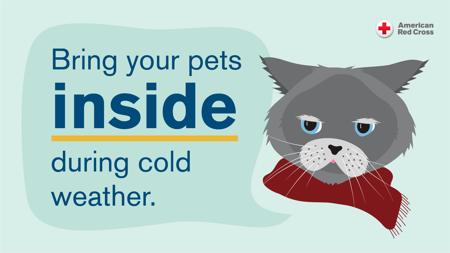 are cats and dogs warm blooded