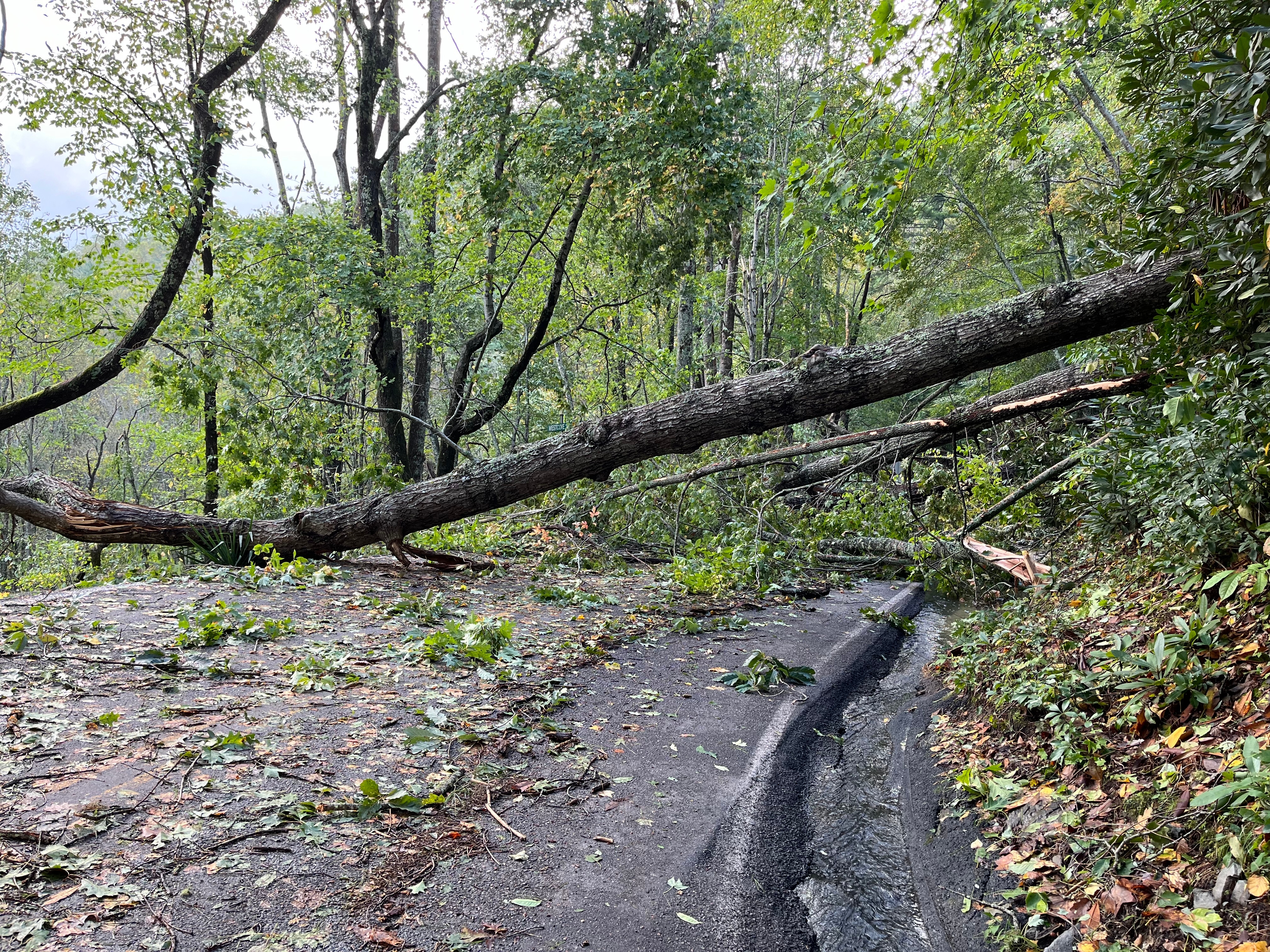 Red Cross mobilizes massive relief effort after Helene’s devastation in the southeast