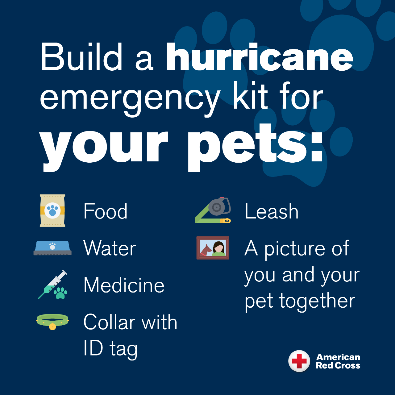Plan for your Pets this hurricane season 