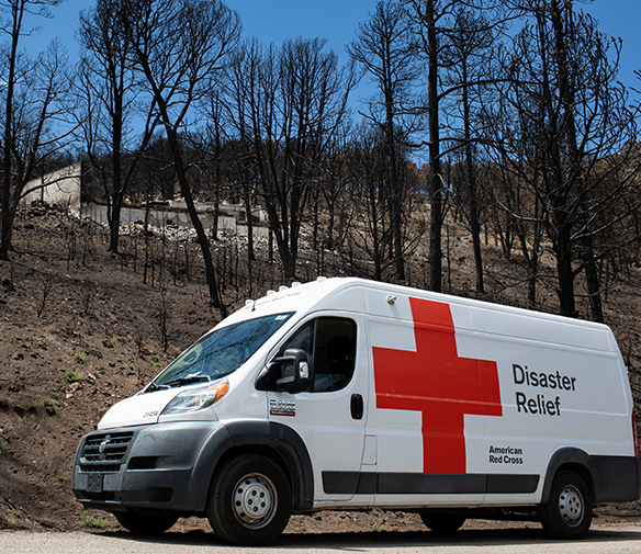 An emergency response vehicle is parked in front of a burned out patch of trees