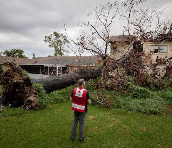 Red Cross disaster relief volunteer stands in front of a large tree that was torn from the ground in a strong storm.