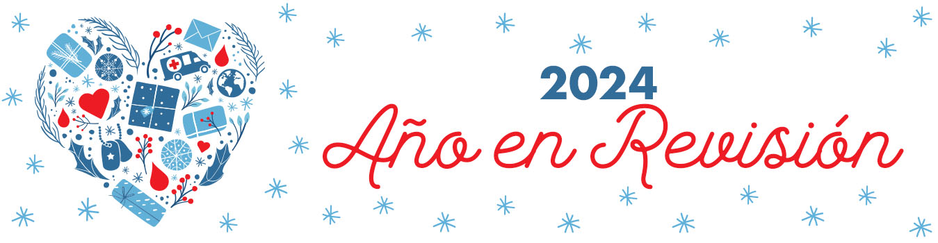 Gráfico del sitio web del resumen del año 2024