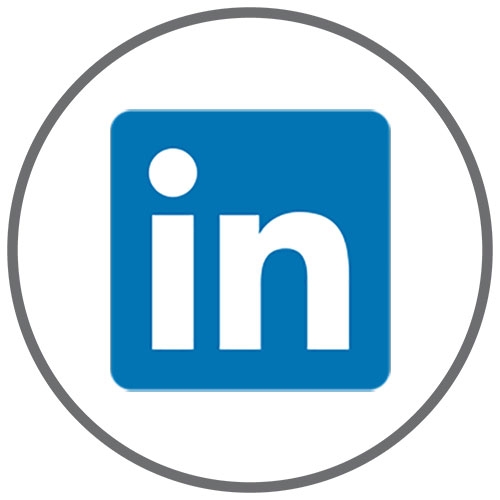 Grey circle with LinkedIn icon