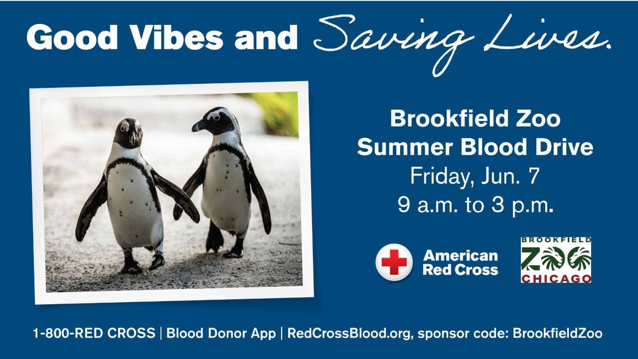 brookfield zoo blood drive graphic