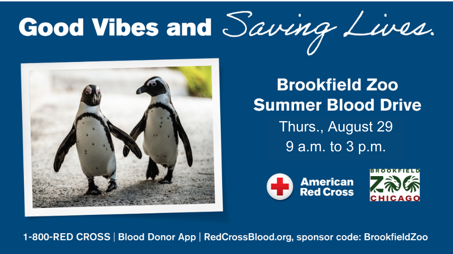 brookfield zoo blood drive graphic