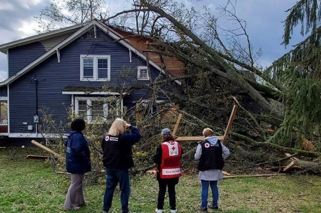 four red cross volunteers surverying house damage with fallen tree