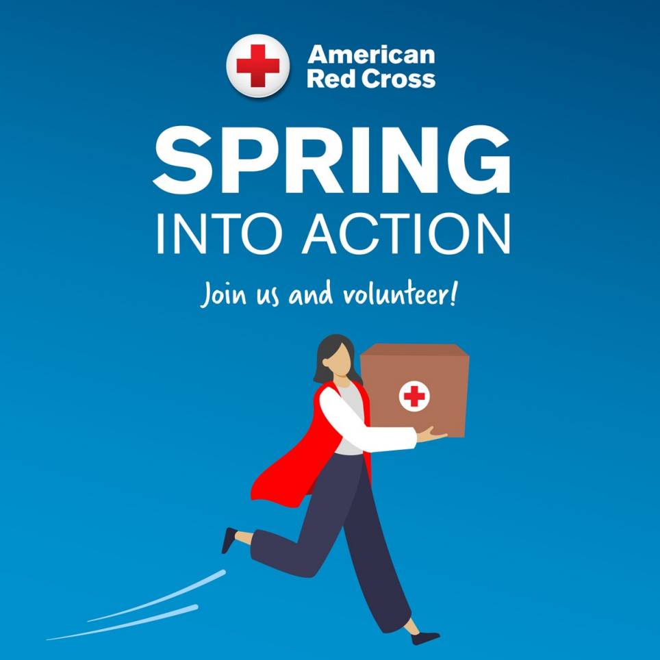 Spring Into Action 2024 Volunteer Award Winners News Article   Image 