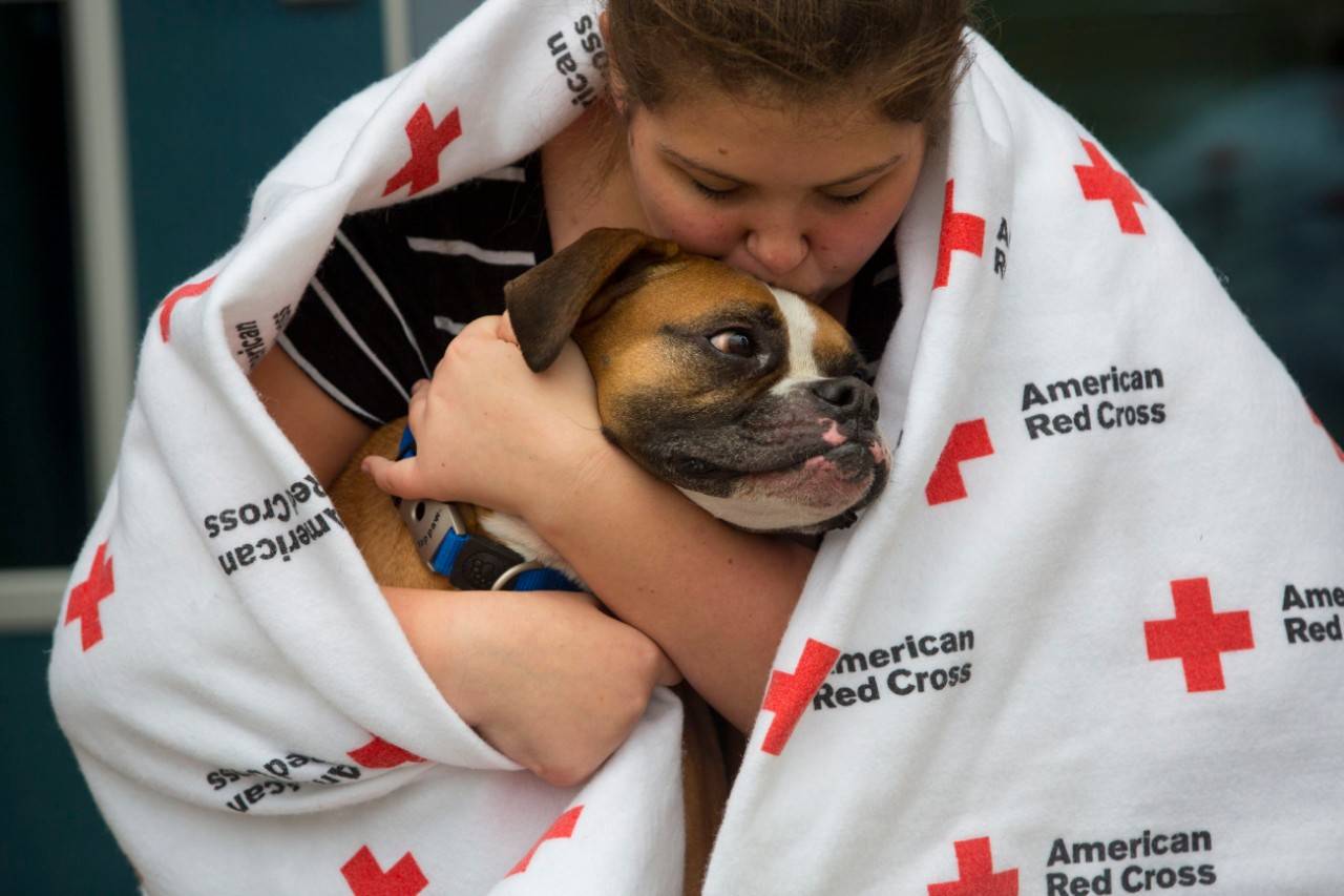 Superstorm Sandy 2012

Kaitlyn Miller and her  rescue  boxer, Coulton, took refuge in the pet friendly evacuation shelter at Pine Belt Arena in Toms River, N.J. The American Red Cross is managing the facility for the human population   which topped 400 Monday night   while the County Animal Response Team is managing space for pets in a separate area of the same building. CART supervisor Barbara Mason/Ward said her team hosted about 45 dogs, some 25 cats, three birds, a ferret, a rabbit and three hermit crabs Monday night, as Hurricane Sandy raged outside. Photo by Les Stone/American Red Cross