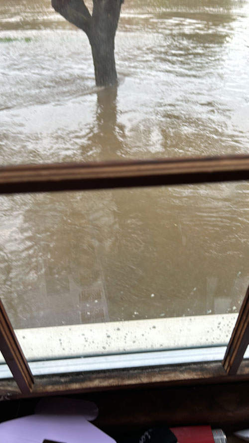 Flood waters and a tree outside a window.