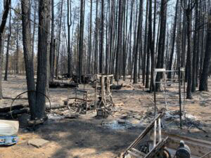 Burned property in forest.