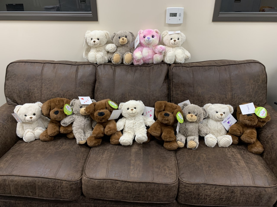 teddy donation