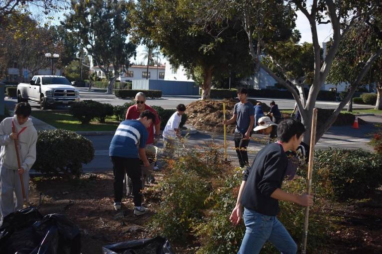 Nearly a dozen individuals cleaning up plants at Orange County Red Cross office.