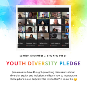 Youth on a Zoom call for the Youth Diversity Pledge.