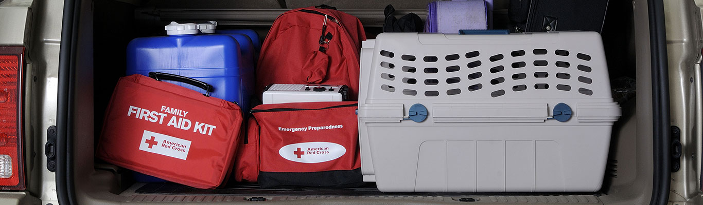 Family first aid kit and traveling supplies packed in the trunk of a vehicle.